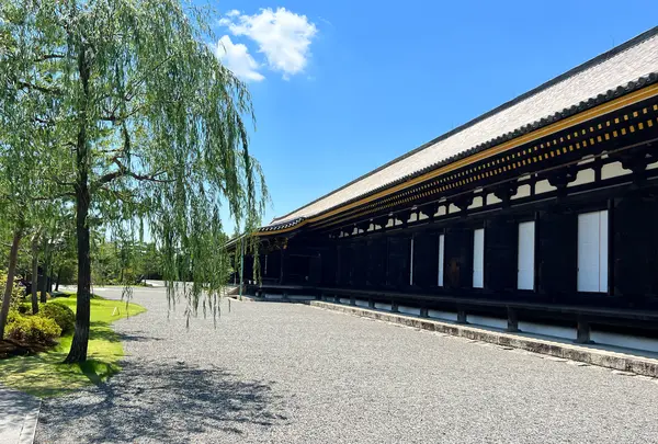 蓮華王院 三十三間堂の写真・動画_image_1144945