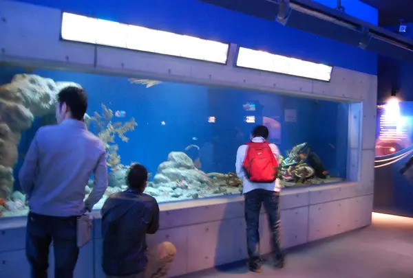 沼津港深海水族館