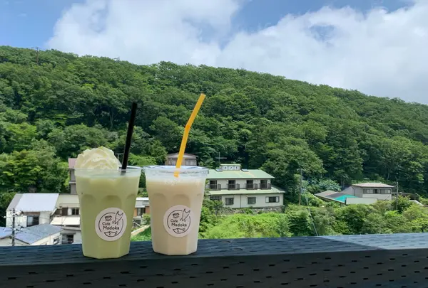 かぜの杜 まど花
