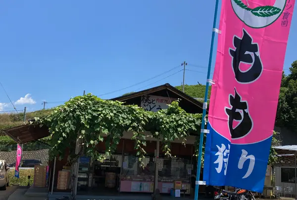 内田フルーツ農園