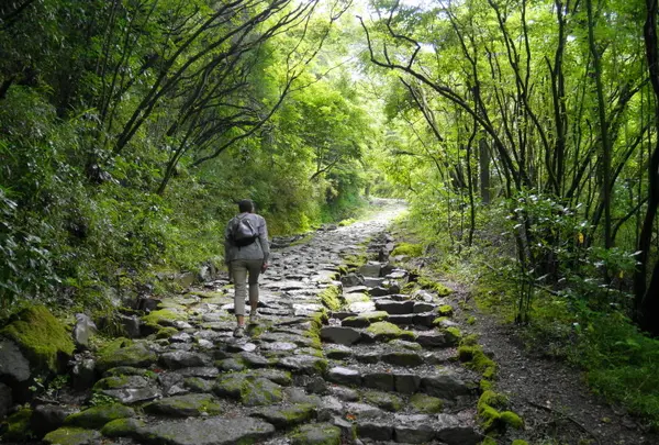 箱根旧街道