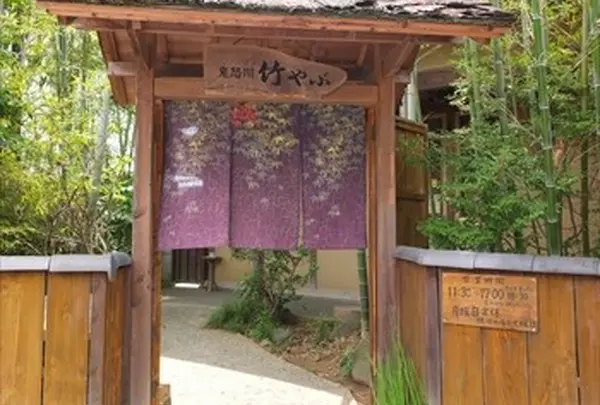竹やぶ