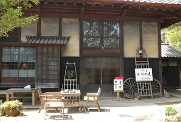 かやの木の写真・動画_image_115533