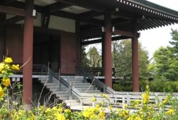 中宮寺の写真・動画_image_115564