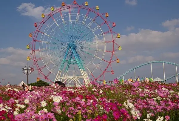 海の中道海浜公園