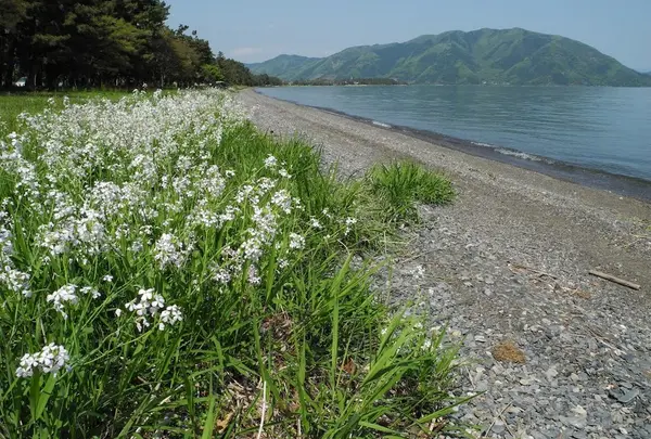 湖西の風景