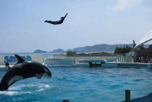 鴨川シーワールドの写真・動画_image_115726