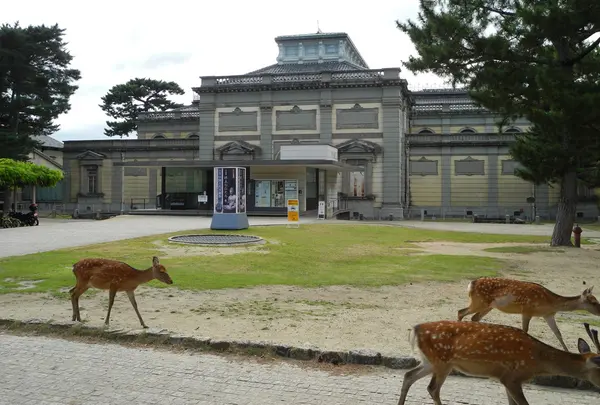 奈良国立博物館
