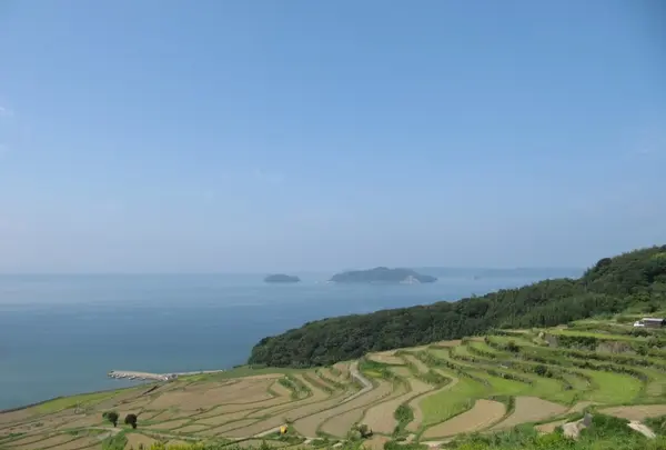 土谷棚田