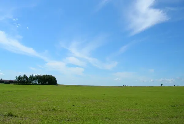 中標津牧場地帯