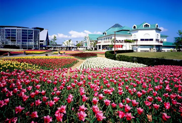 新潟ふるさと村【チューリップの名所】