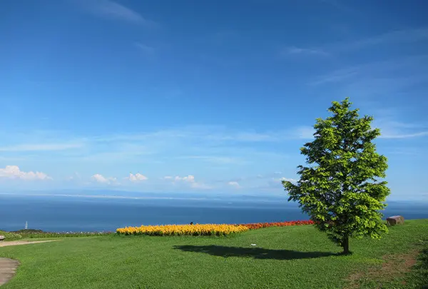 【花の島】あわじ花さじき