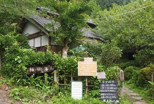 梅樹庵