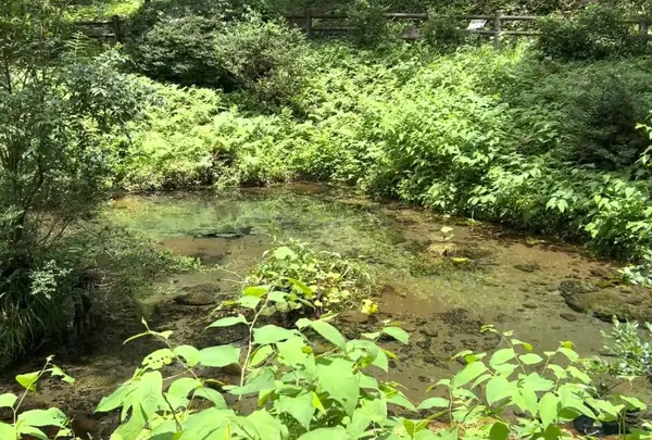 塩釜の冷泉