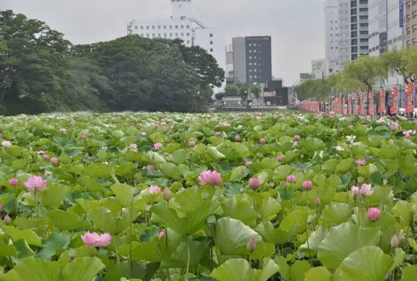 千秋公園