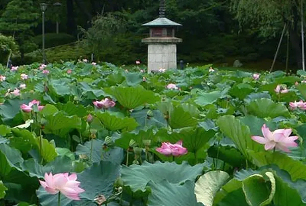 白山公園
