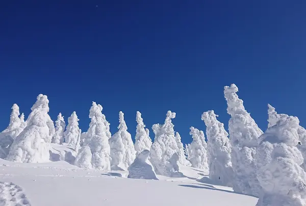 森吉山阿仁スキー場