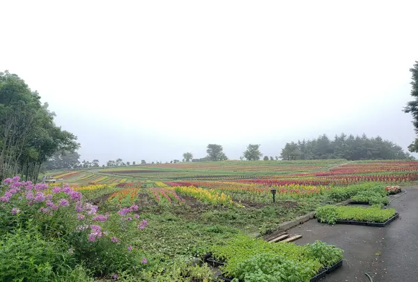 那須フラワーワールド