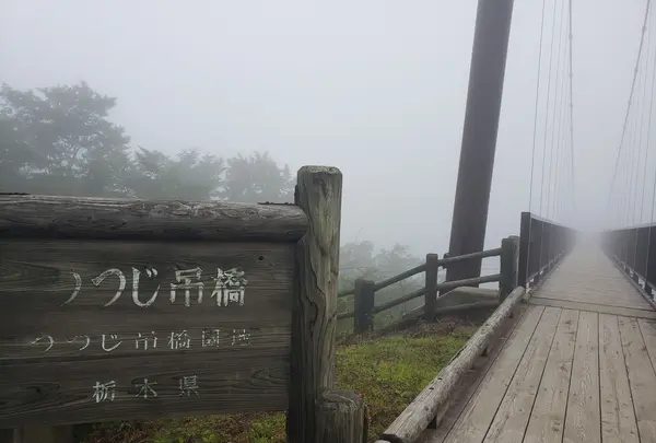 つつじ吊橋