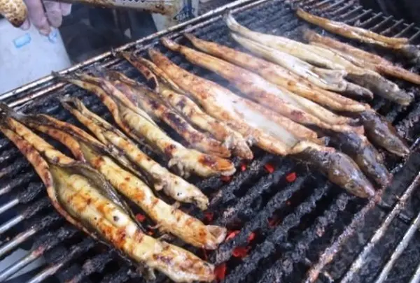 鈴木鮮魚店