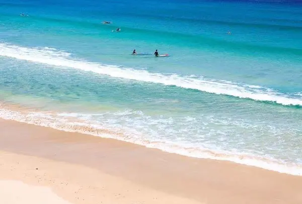 伊豆白浜観光協会