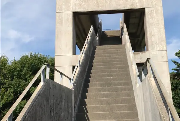 四方指展望台の写真・動画_image_1172423