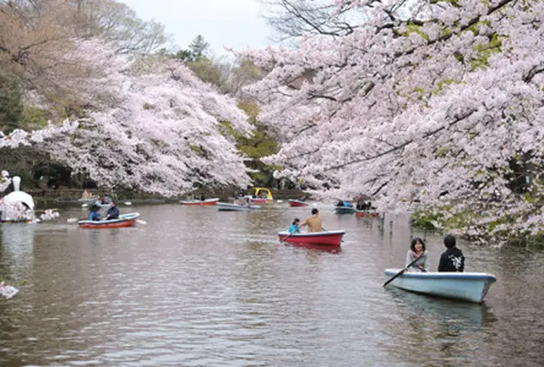 井の頭恩賜公園