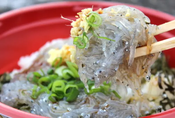 しらすや丼処