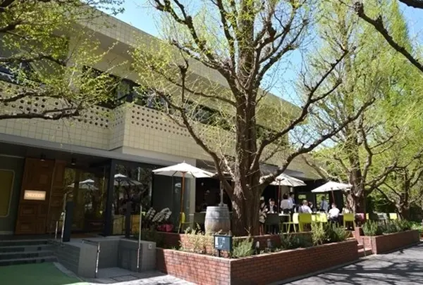 キハチ青山本店