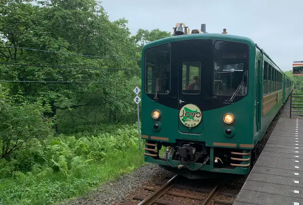 くしろ湿原ノロッコ号