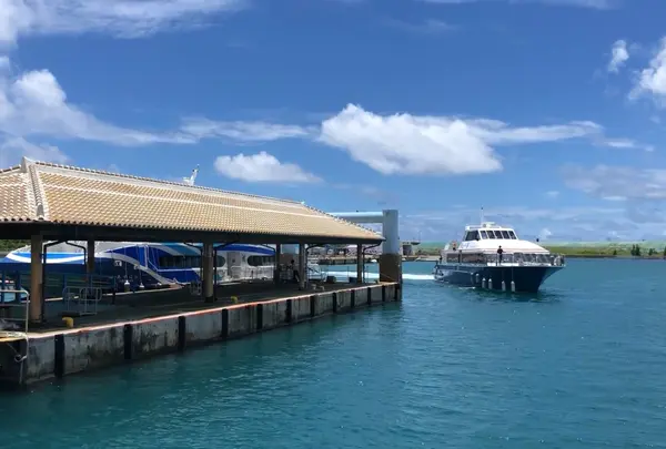 ユーグレナ石垣港離島ターミナルの写真・動画_image_1175049