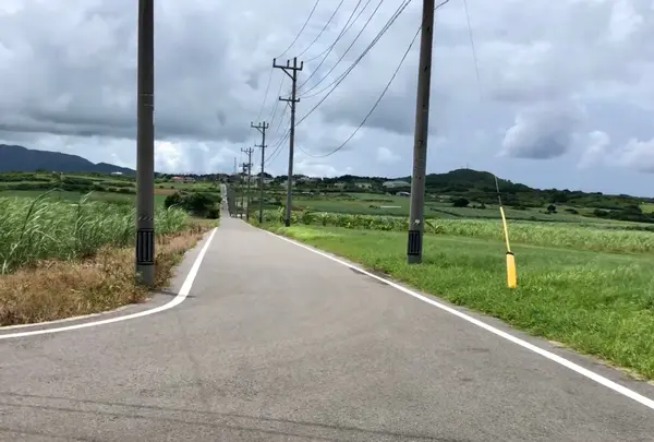 シュガーロードの写真・動画_image_1176653