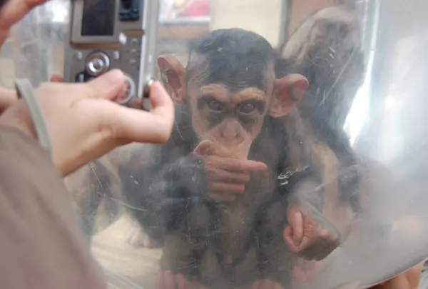 旭川市 旭山動物園の写真・動画_image_117754