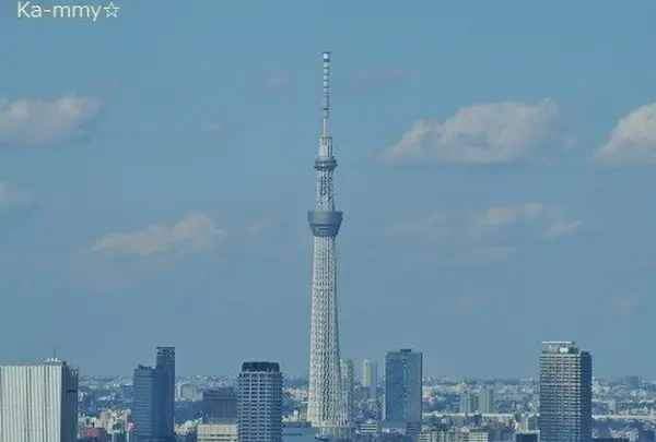 【閉業】世界貿易センタービル展望台の写真・動画_image_117833
