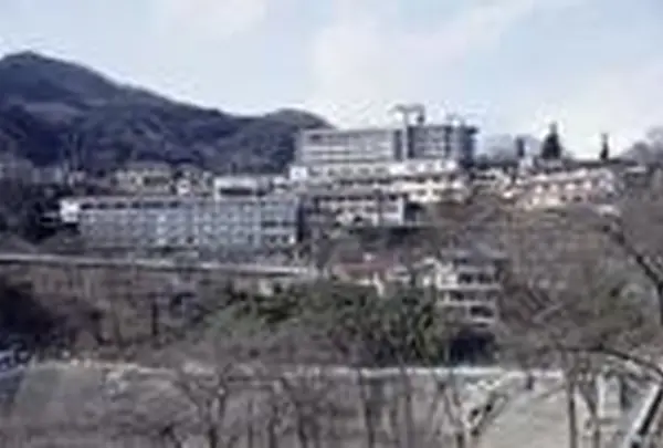 岡崎城