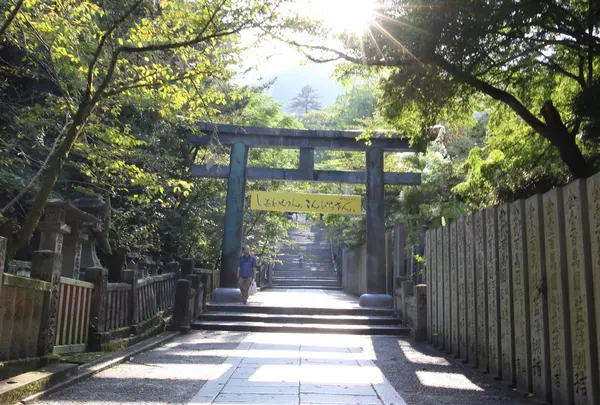 金刀比羅宮（こんぴらさん）の写真・動画_image_1184084