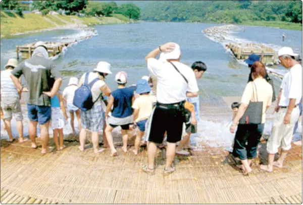 大瀬観光やなの写真・動画_image_118415