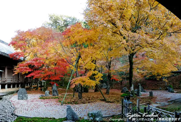 光明禅寺