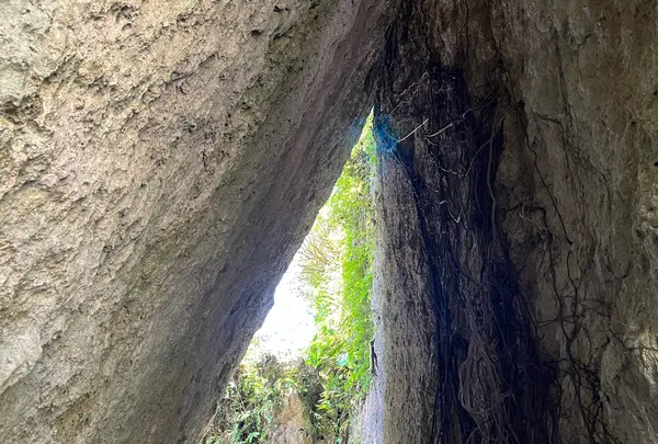 斎場御嶽