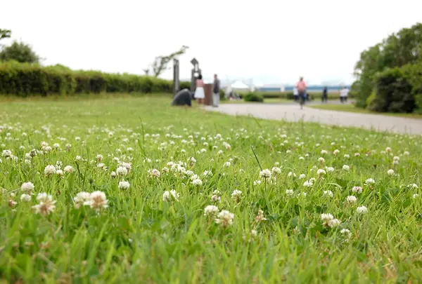 葛西臨海公園