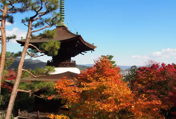 常寂光寺