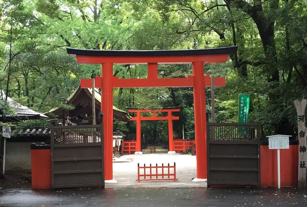 下鴨神社（賀茂御祖神社）の写真・動画_image_118830