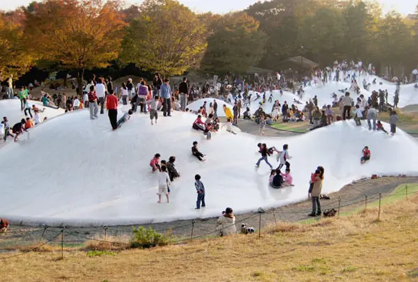 国営昭和記念公園