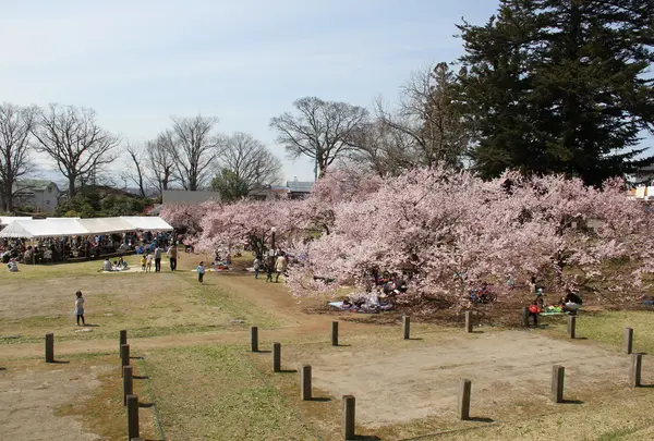 高梨館跡公園