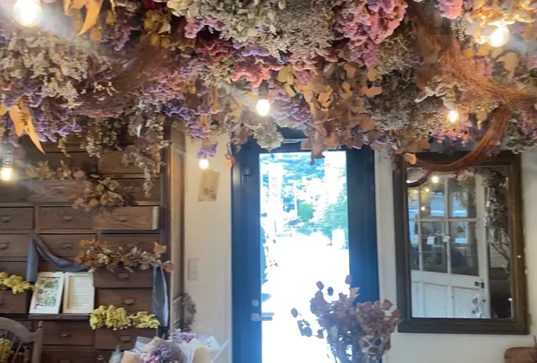 Seasonal Stand（シーズナルスタンド）の写真・動画_image_1189411