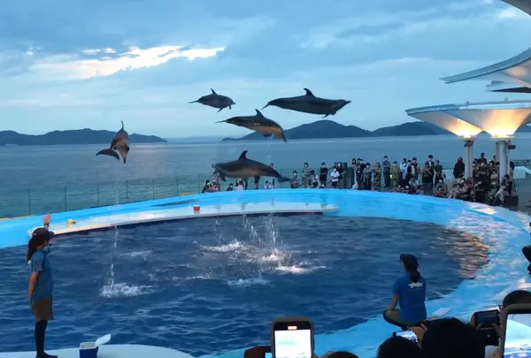四国水族館の写真・動画_image_1189426