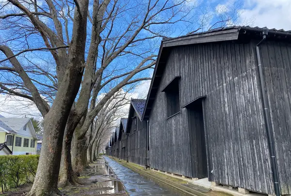 山居倉庫の写真・動画_image_1189533
