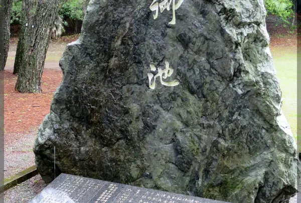 阿波岐原森林公園のハナショウブ