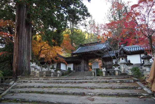 西明寺