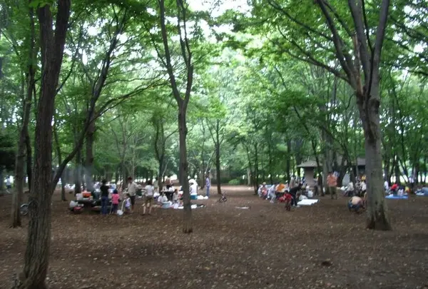 光が丘公園